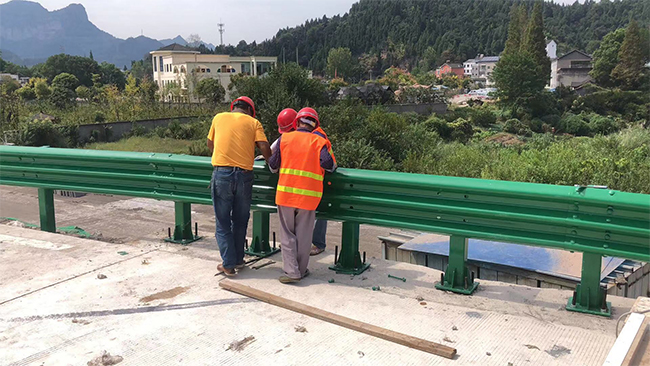 七台河高速公路护栏板的维护确保道路安全的关键环节
